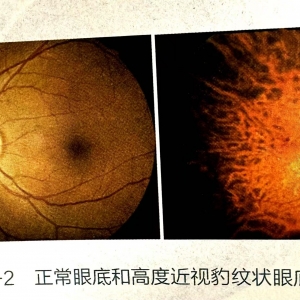 请输入相册名称